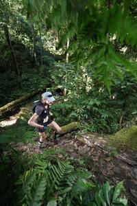 BIB: 
                            <button type="button" onclick="openModal(16028535)" class="btn btn-primary btn-sm float-right btn-popup" data-toggle="modal" data-target=".modal-high-quality">
                        <i class="fas fa-shopping-cart"></i> Add to Cart
                    </button>
                                            <button type="button" onclick="isThisMe(16028535, true)" class="btn btn-success btn-sm float-right btn-popup btn-isme hidden" data-toggle="tooltip" data-placement="bottom" title="นี่คือรูปของคุณใช่ไหม คลิกที่นี่เพื่อเอาเข้าอัลบั้ม">
                        <i class="fas fa-plus"></i> Add to album
                    </button>
                    <button type="button" onclick="isThisMe(16028535, false)" class="btn btn-warning btn-sm float-right btn-popup btn-isnotme hidden">
                        <i class="fas fa-ban"></i> Remove from album
                    </button>